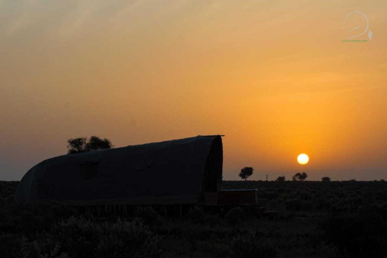 Amanya 1 -Bed King Lion Tent Amboseli Exteriör bild