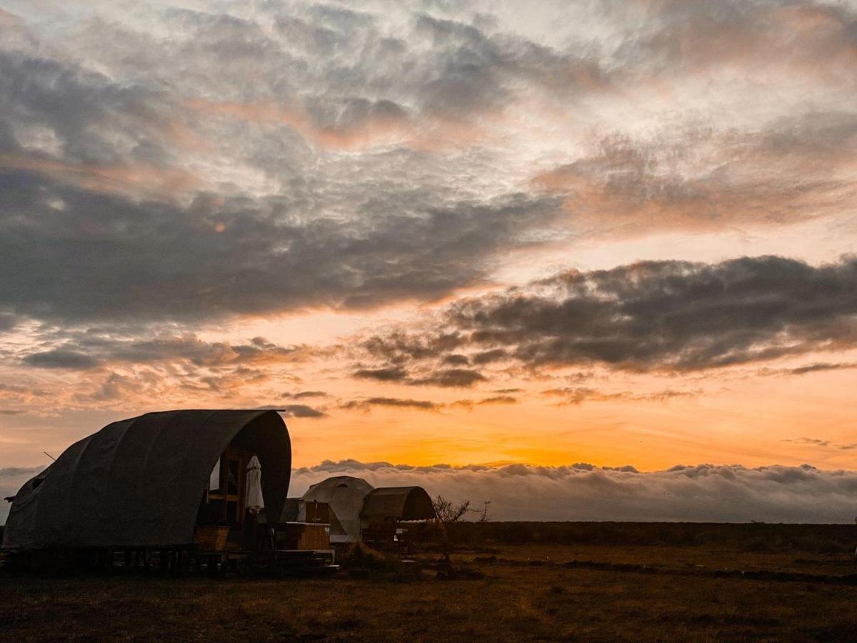 Amanya 1 -Bed King Lion Tent Amboseli Exteriör bild